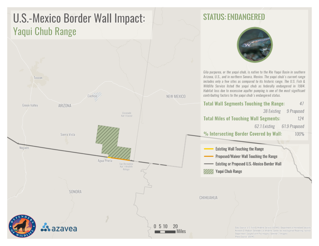 map of the impact of the U.S.-Mexico border wall on yaqui chub range