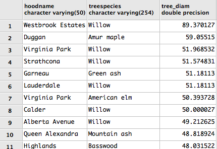 Picture of resulting list of widest single trees in each neighborhood.