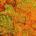 False color composite of Uruguay River (May 2015) with Landsat 8