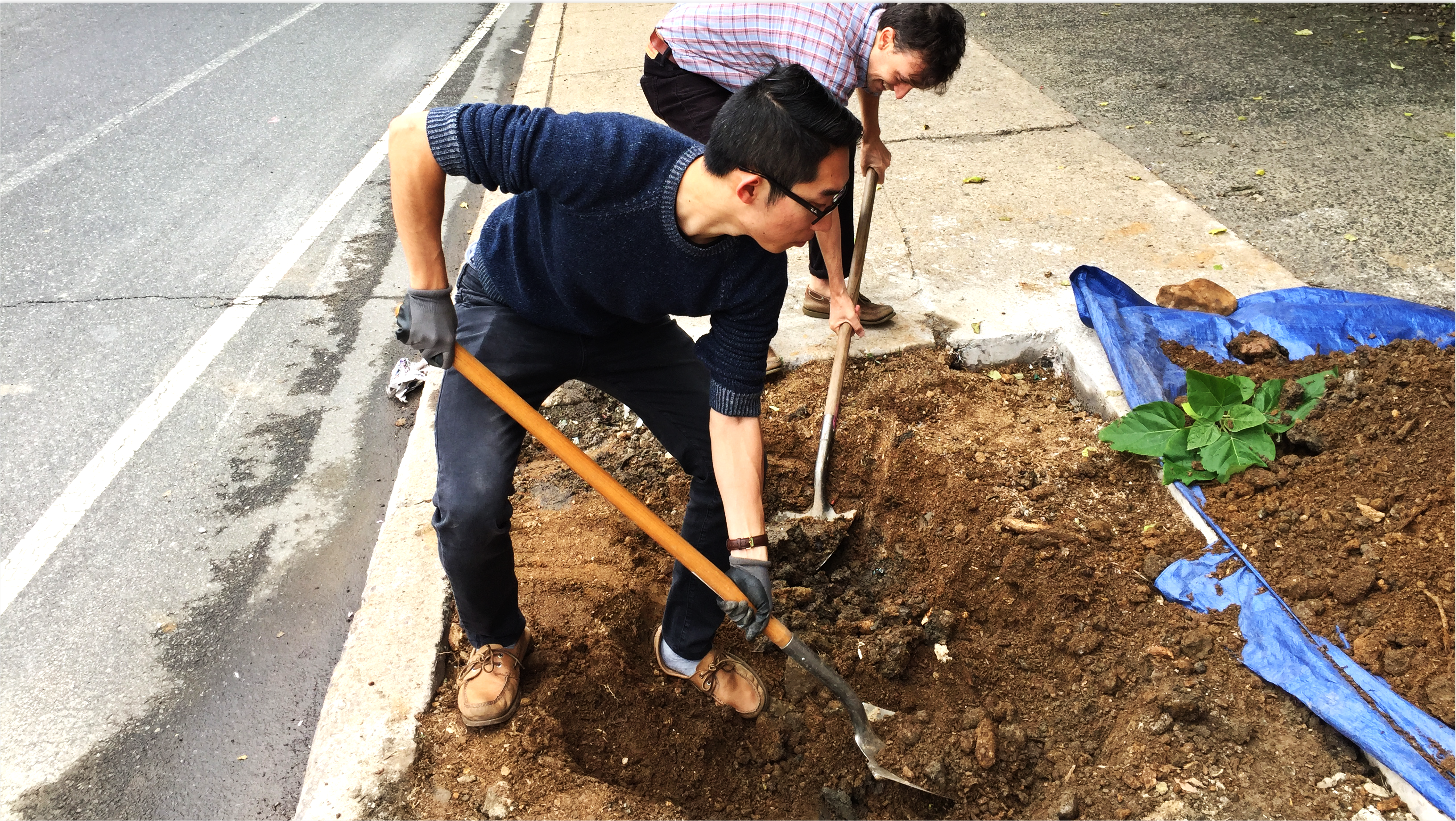 Azavea digs holes for trees as part of the first PHS Tree Tender business chapter planting day