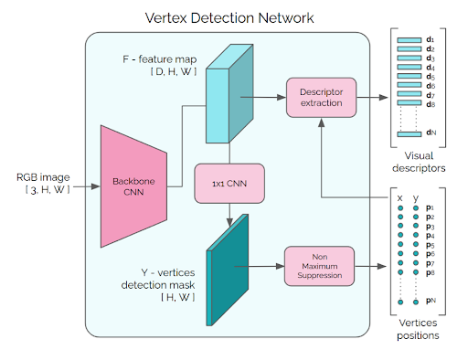 The vertex detection network outputs the positions and feature embedding for each candidate vertex. 