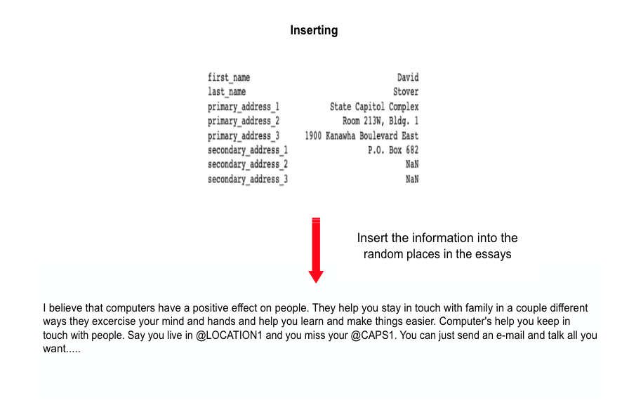 A screenshot showing the info being inserted into a sample essay. 